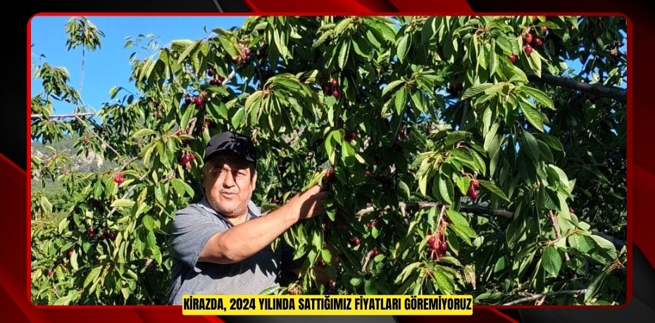 "Kirazda, 2024 yılında sattığımız fiyatları göremiyoruz"