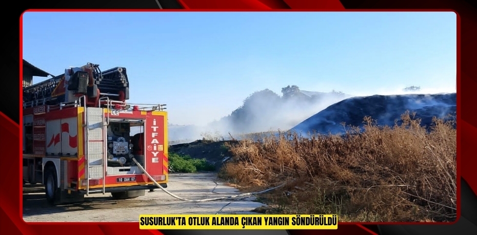Susurluk'ta otluk alanda çıkan yangın söndürüldü