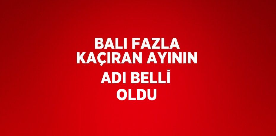 BALI FAZLA KAÇIRAN AYININ ADI BELLİ OLDU