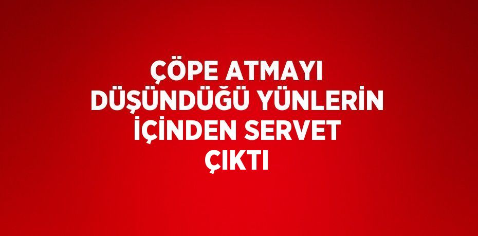 ÇÖPE ATMAYI DÜŞÜNDÜĞÜ YÜNLERİN İÇİNDEN SERVET ÇIKTI