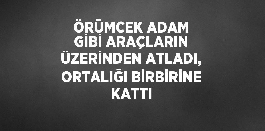 ÖRÜMCEK ADAM GİBİ ARAÇLARIN ÜZERİNDEN ATLADI, ORTALIĞI BİRBİRİNE KATTI