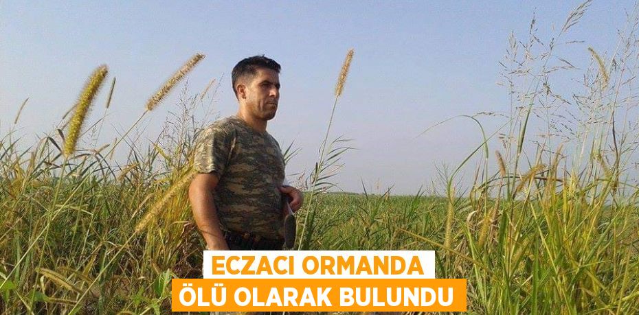 ECZACI ORMANDA ÖLÜ OLARAK BULUNDU