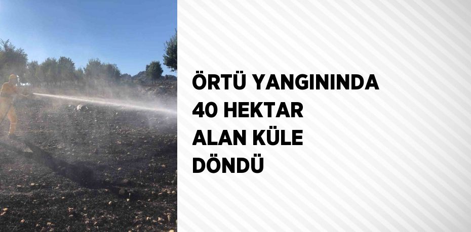 ÖRTÜ YANGININDA 40 HEKTAR ALAN KÜLE DÖNDÜ