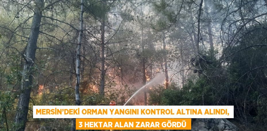 MERSİN’DEKİ ORMAN YANGINI KONTROL ALTINA ALINDI, 3 HEKTAR ALAN ZARAR GÖRDÜ