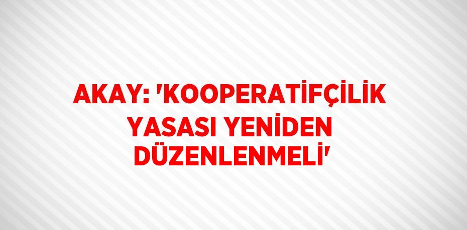 AKAY: 'KOOPERATİFÇİLİK YASASI YENİDEN DÜZENLENMELİ'