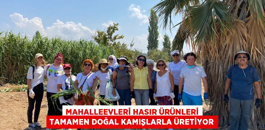 MAHALLEEVLERİ HASIR ÜRÜNLERİ TAMAMEN DOĞAL KAMIŞLARLA ÜRETİYOR