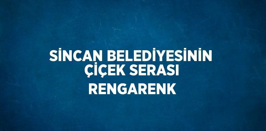 SİNCAN BELEDİYESİNİN ÇİÇEK SERASI RENGARENK