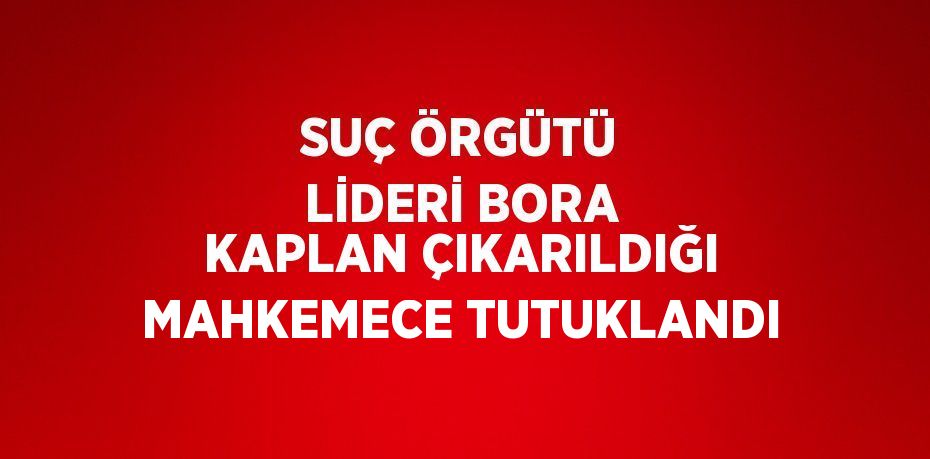 SUÇ ÖRGÜTÜ LİDERİ BORA KAPLAN ÇIKARILDIĞI MAHKEMECE TUTUKLANDI