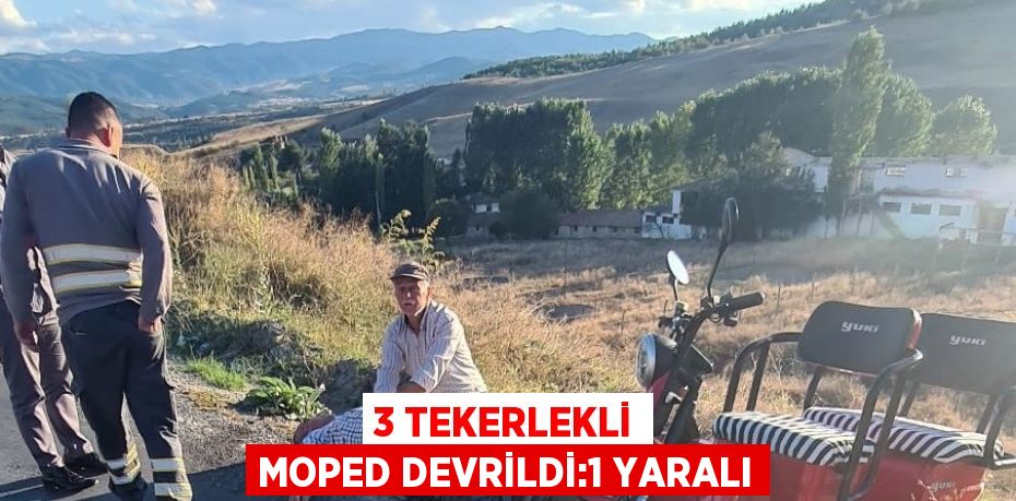 3 TEKERLEKLİ MOPED DEVRİLDİ:1 YARALI