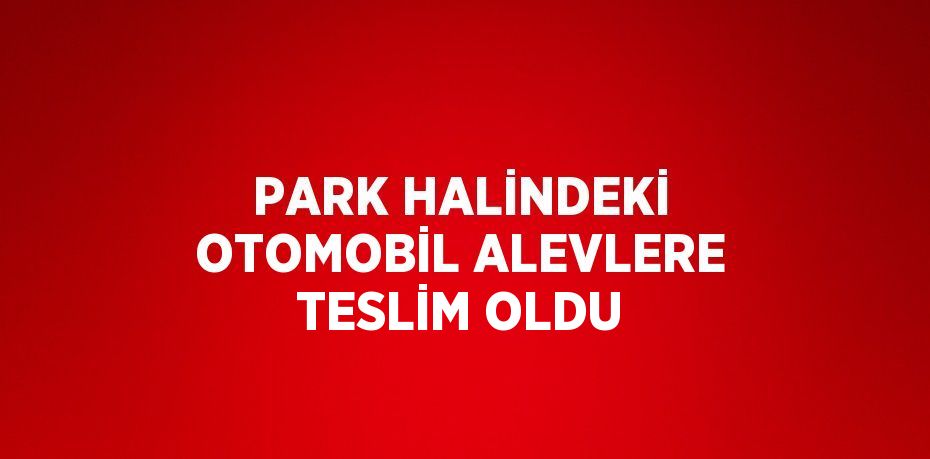 PARK HALİNDEKİ OTOMOBİL ALEVLERE TESLİM OLDU