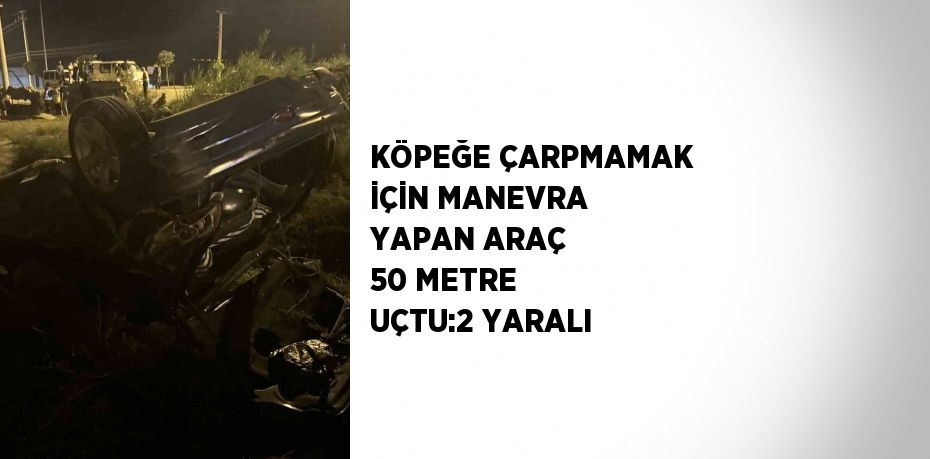 KÖPEĞE ÇARPMAMAK İÇİN MANEVRA YAPAN ARAÇ 50 METRE UÇTU:2 YARALI