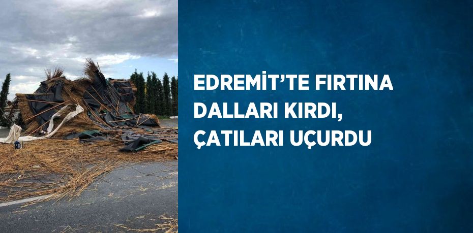 EDREMİT’TE FIRTINA DALLARI KIRDI, ÇATILARI UÇURDU