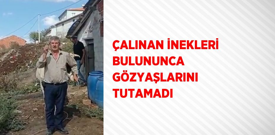 ÇALINAN İNEKLERİ BULUNUNCA GÖZYAŞLARINI TUTAMADI