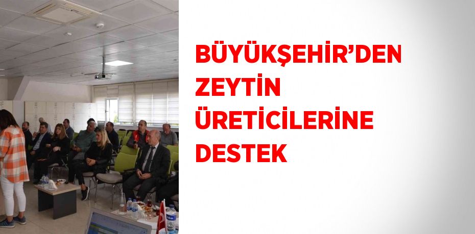 BÜYÜKŞEHİR’DEN ZEYTİN ÜRETİCİLERİNE DESTEK