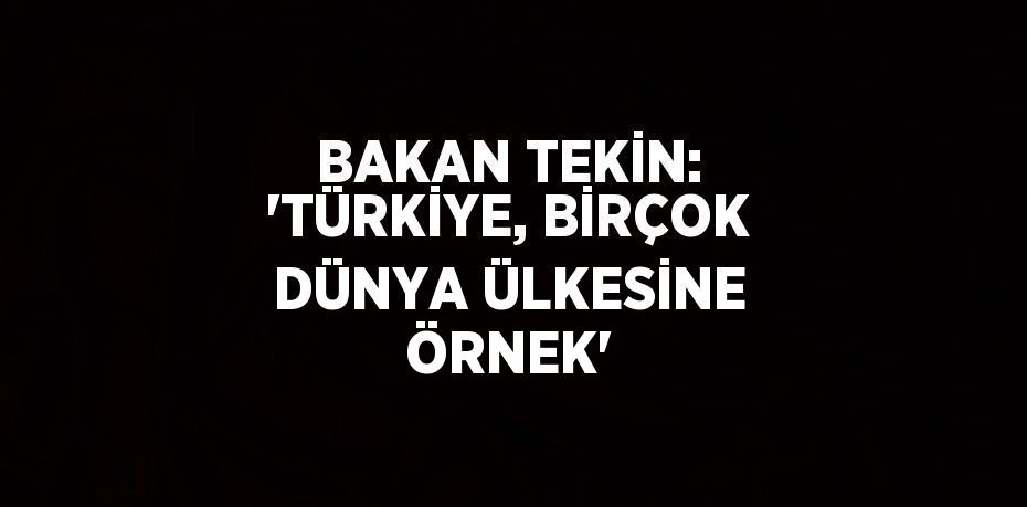 BAKAN TEKİN: 'TÜRKİYE, BİRÇOK DÜNYA ÜLKESİNE ÖRNEK'