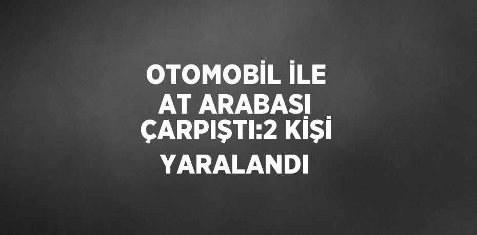 OTOMOBİL İLE AT ARABASI ÇARPIŞTI:2 KİŞİ YARALANDI