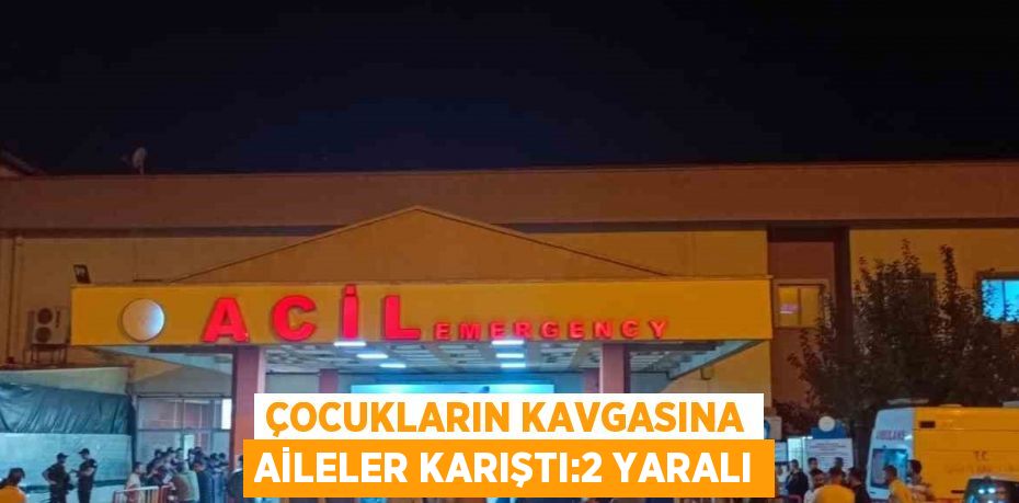 ÇOCUKLARIN KAVGASINA AİLELER KARIŞTI:2 YARALI