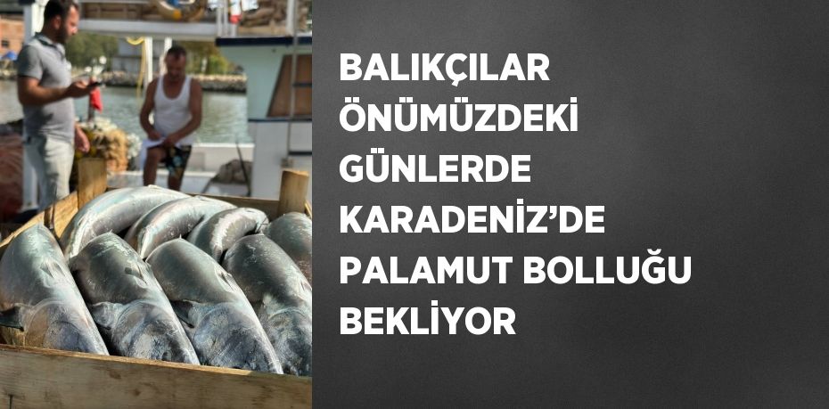 BALIKÇILAR ÖNÜMÜZDEKİ GÜNLERDE KARADENİZ’DE PALAMUT BOLLUĞU BEKLİYOR