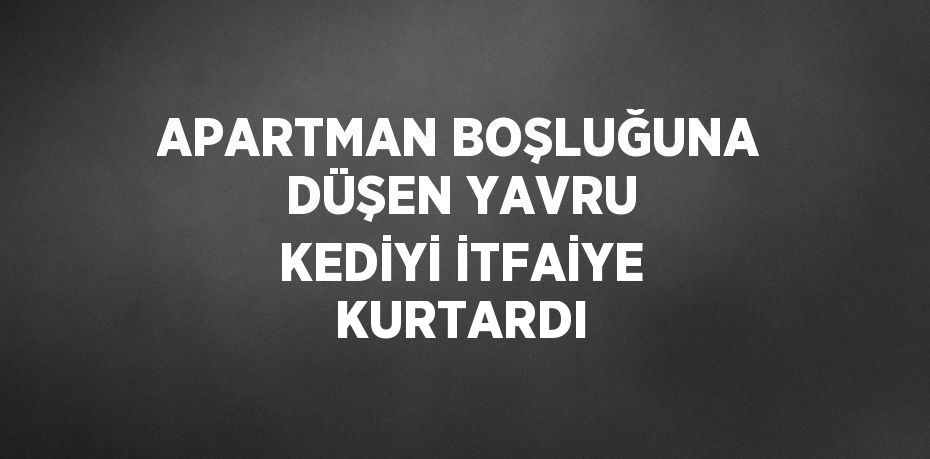 APARTMAN BOŞLUĞUNA DÜŞEN YAVRU KEDİYİ İTFAİYE KURTARDI