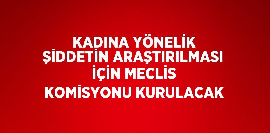 KADINA YÖNELİK ŞİDDETİN ARAŞTIRILMASI İÇİN MECLİS KOMİSYONU KURULACAK