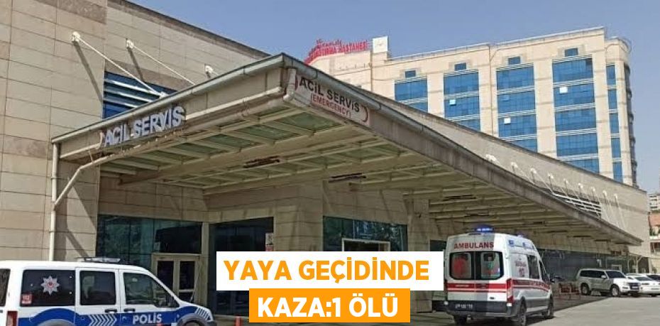 YAYA GEÇİDİNDE KAZA:1 ÖLÜ