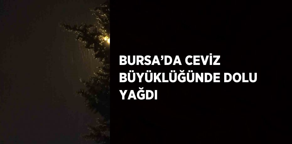 BURSA’DA CEVİZ BÜYÜKLÜĞÜNDE DOLU YAĞDI