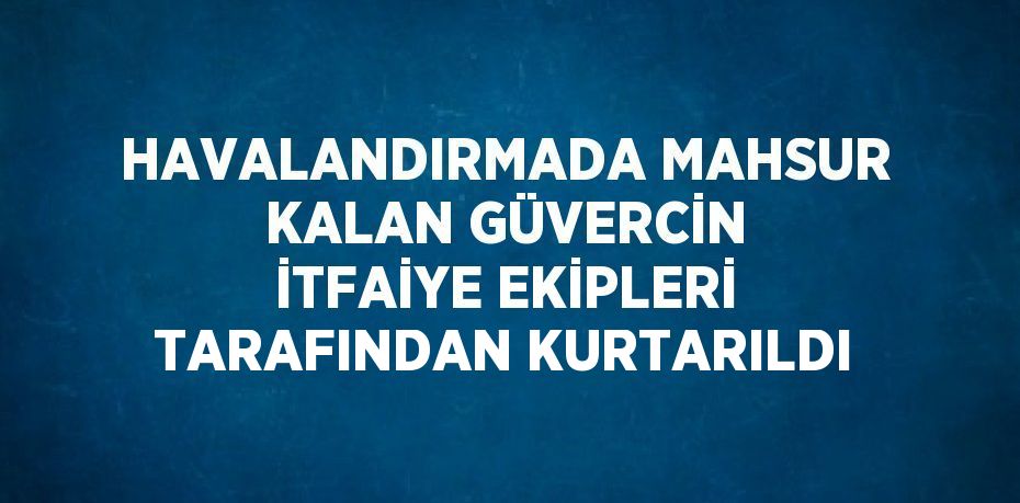 HAVALANDIRMADA MAHSUR KALAN GÜVERCİN İTFAİYE EKİPLERİ TARAFINDAN KURTARILDI