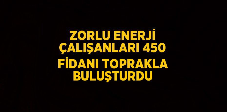 ZORLU ENERJİ ÇALIŞANLARI 450 FİDANI TOPRAKLA BULUŞTURDU