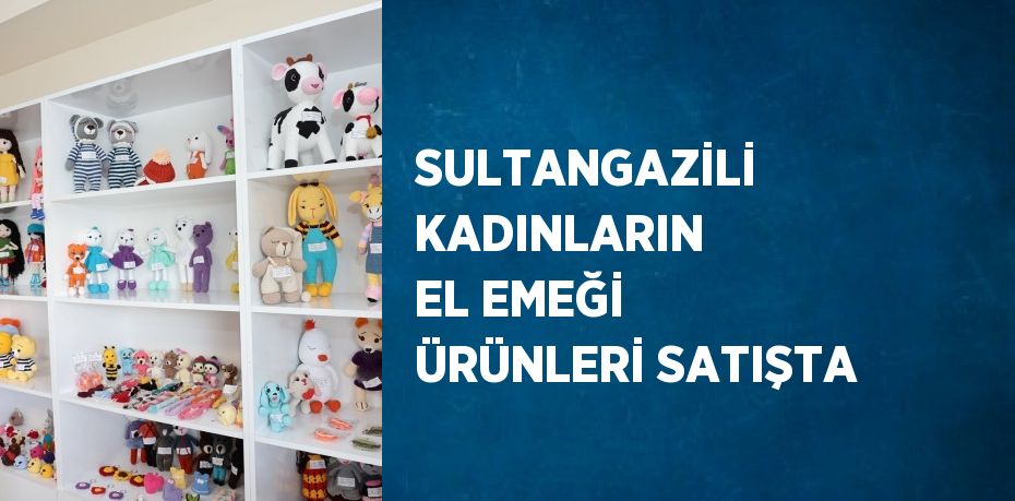 SULTANGAZİLİ KADINLARIN EL EMEĞİ ÜRÜNLERİ SATIŞTA