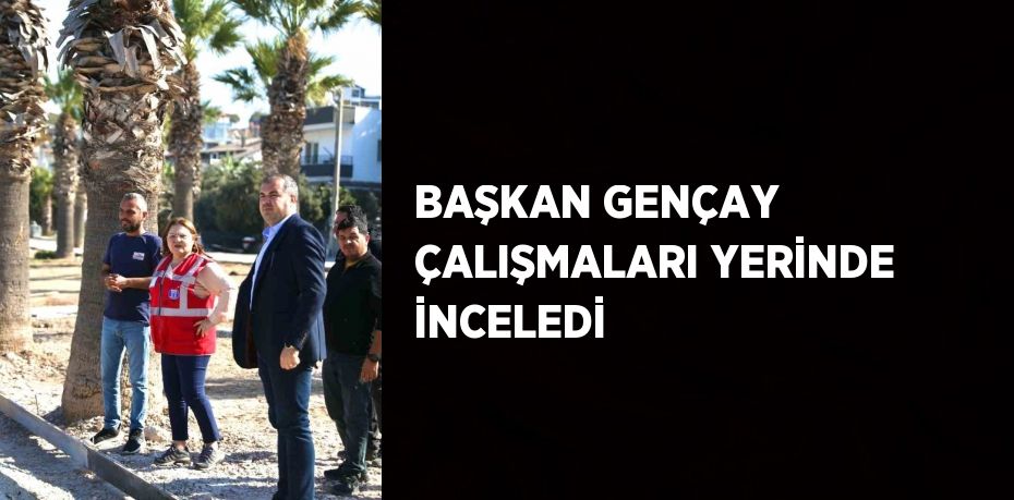 BAŞKAN GENÇAY ÇALIŞMALARI YERİNDE İNCELEDİ