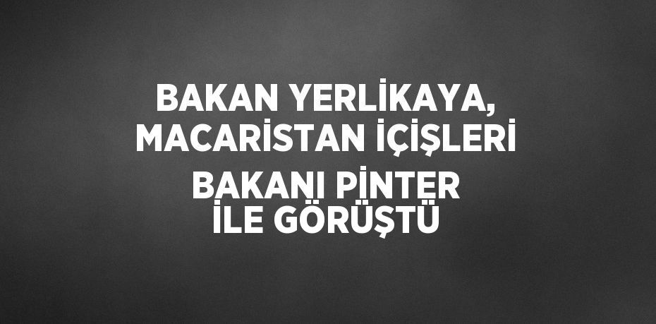 BAKAN YERLİKAYA, MACARİSTAN İÇİŞLERİ BAKANI PİNTER İLE GÖRÜŞTÜ