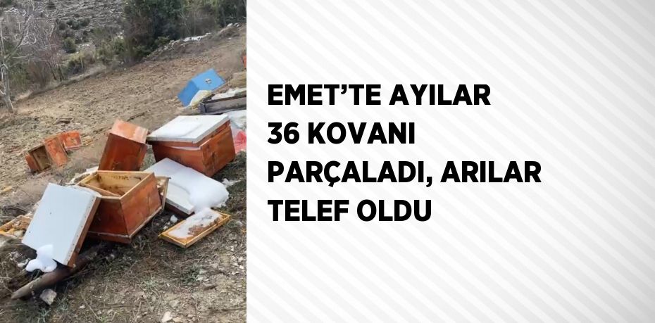 EMET’TE AYILAR 36 KOVANI PARÇALADI, ARILAR TELEF OLDU