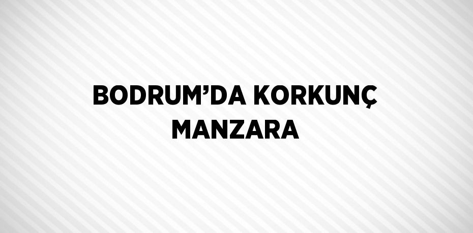 BODRUM’DA KORKUNÇ MANZARA