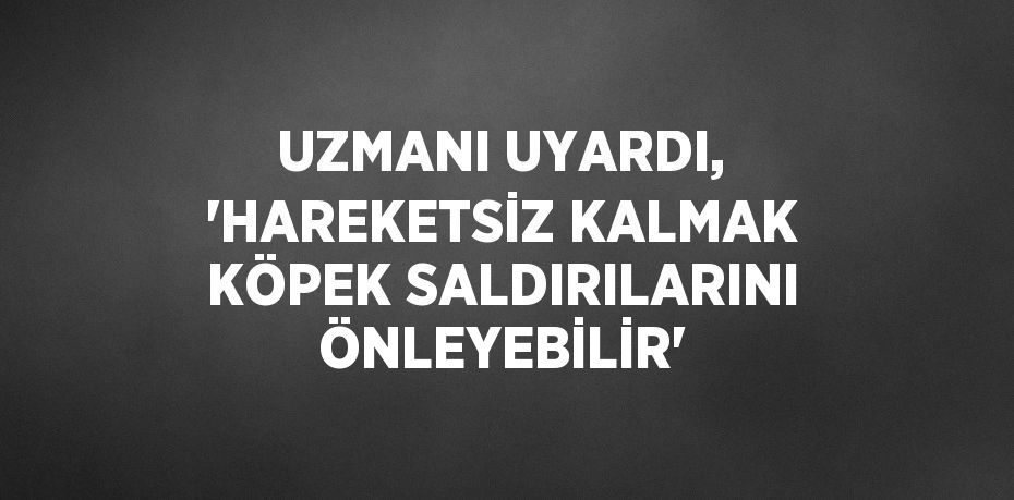 UZMANI UYARDI, 'HAREKETSİZ KALMAK KÖPEK SALDIRILARINI ÖNLEYEBİLİR'