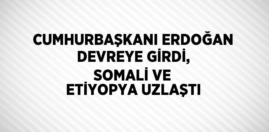 CUMHURBAŞKANI ERDOĞAN DEVREYE GİRDİ, SOMALİ VE ETİYOPYA UZLAŞTI