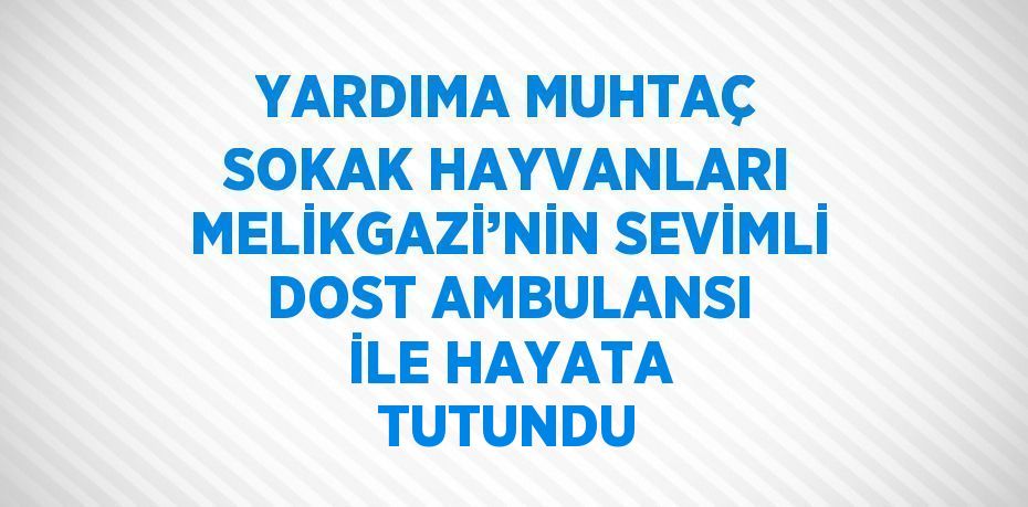 YARDIMA MUHTAÇ SOKAK HAYVANLARI MELİKGAZİ’NİN SEVİMLİ DOST AMBULANSI İLE HAYATA TUTUNDU