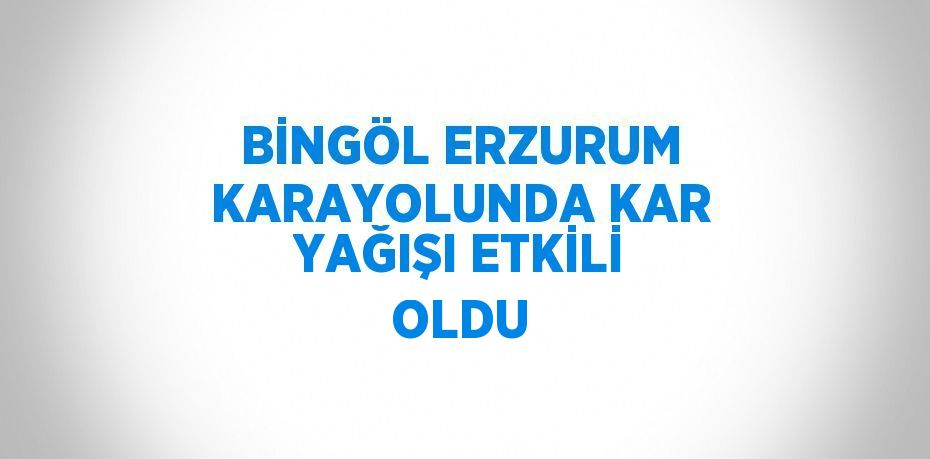 BİNGÖL ERZURUM KARAYOLUNDA KAR YAĞIŞI ETKİLİ OLDU