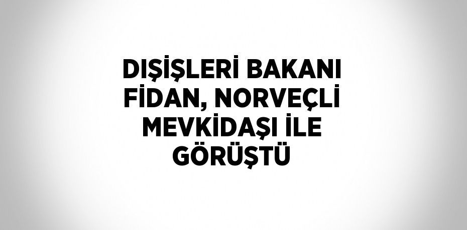 DIŞİŞLERİ BAKANI FİDAN, NORVEÇLİ MEVKİDAŞI İLE GÖRÜŞTÜ