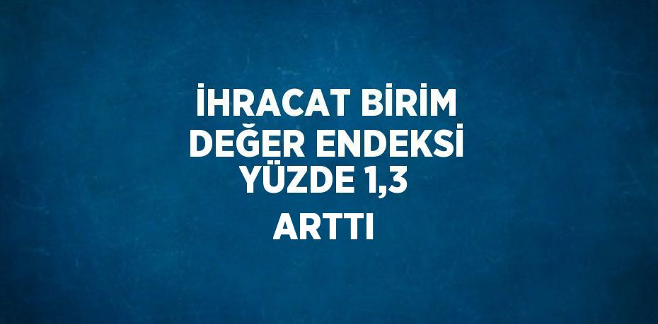 İHRACAT BİRİM DEĞER ENDEKSİ YÜZDE 1,3 ARTTI