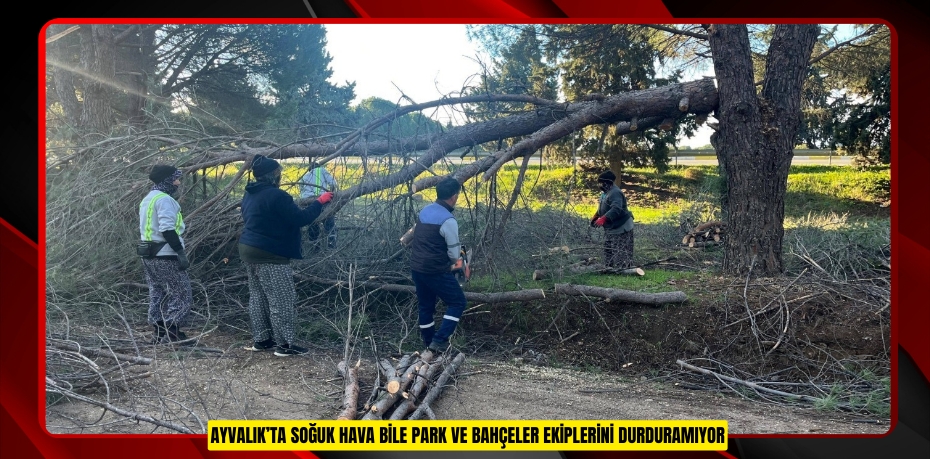 AYVALIK’TA SOĞUK HAVA BİLE PARK VE BAHÇELER EKİPLERİNİ DURDURAMIYOR