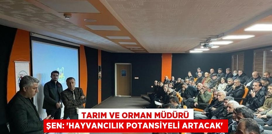 TARIM VE ORMAN MÜDÜRÜ ŞEN: 'HAYVANCILIK POTANSİYELİ ARTACAK'