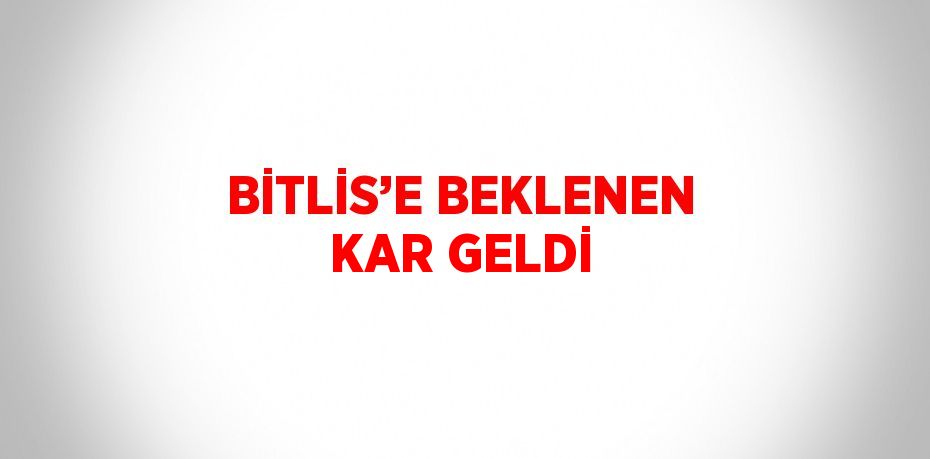 BİTLİS’E BEKLENEN KAR GELDİ