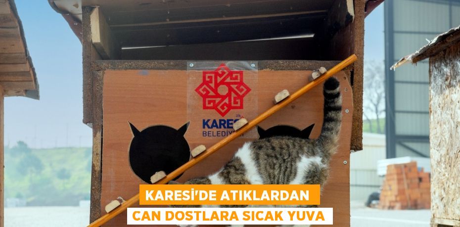 KARESİ’DE ATIKLARDAN  CAN DOSTLARA SICAK YUVA