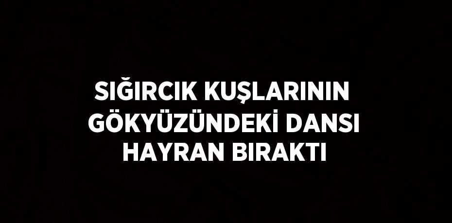 SIĞIRCIK KUŞLARININ GÖKYÜZÜNDEKİ DANSI HAYRAN BIRAKTI