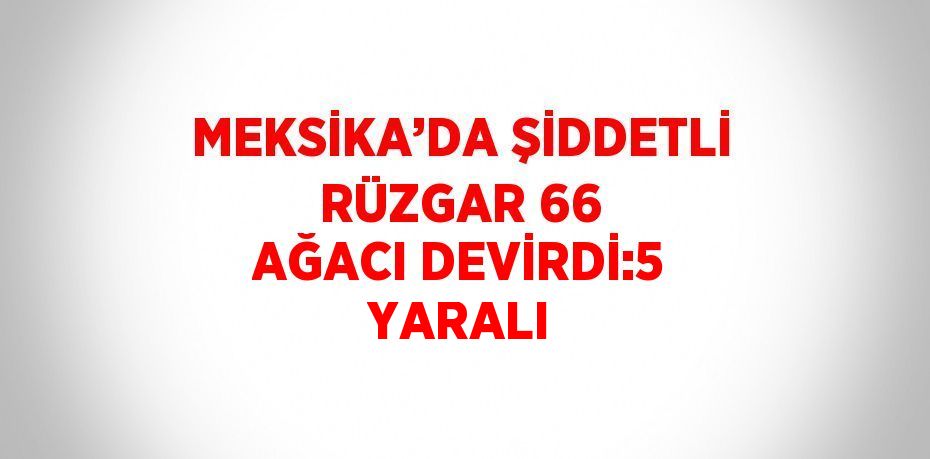 MEKSİKA’DA ŞİDDETLİ RÜZGAR 66 AĞACI DEVİRDİ:5 YARALI