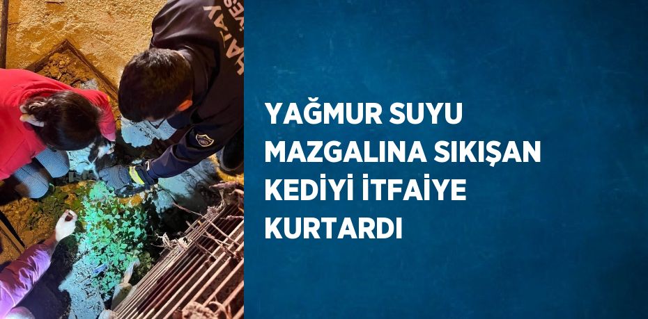 YAĞMUR SUYU MAZGALINA SIKIŞAN KEDİYİ İTFAİYE KURTARDI