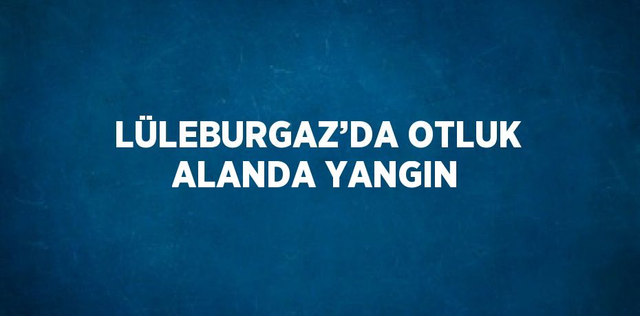 LÜLEBURGAZ’DA OTLUK ALANDA YANGIN