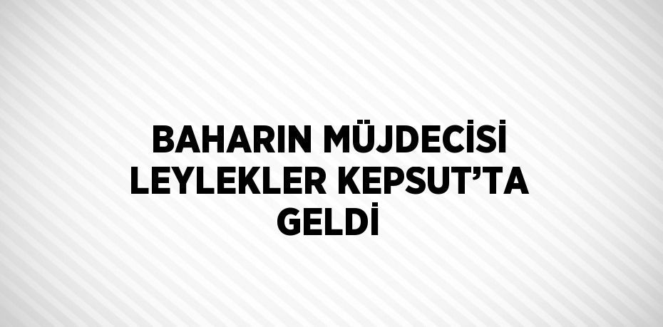 BAHARIN MÜJDECİSİ LEYLEKLER KEPSUT’TA GELDİ