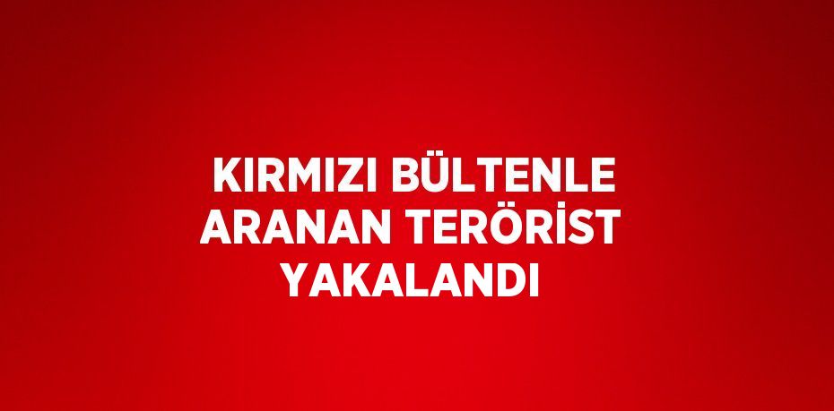 KIRMIZI BÜLTENLE ARANAN TERÖRİST YAKALANDI