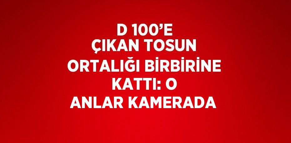 D 100’E ÇIKAN TOSUN ORTALIĞI BİRBİRİNE KATTI: O ANLAR KAMERADA